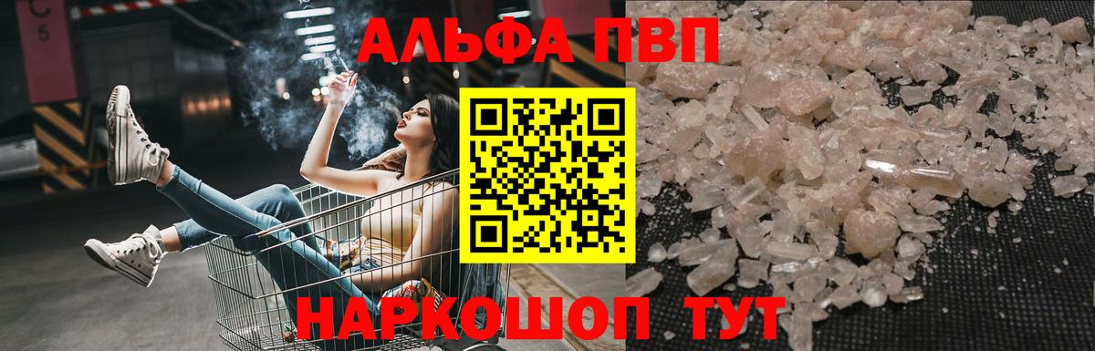 Alfa_PVP СК Прокопьевск