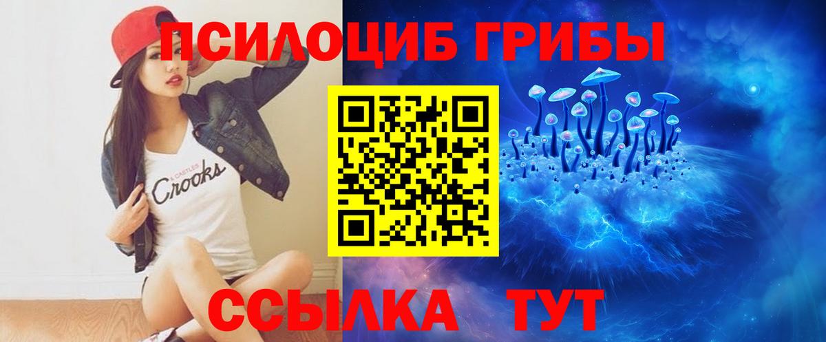 Прокопьевск  Галлюциногенные грибы Psilocybine cubensis  Вход с VPN 